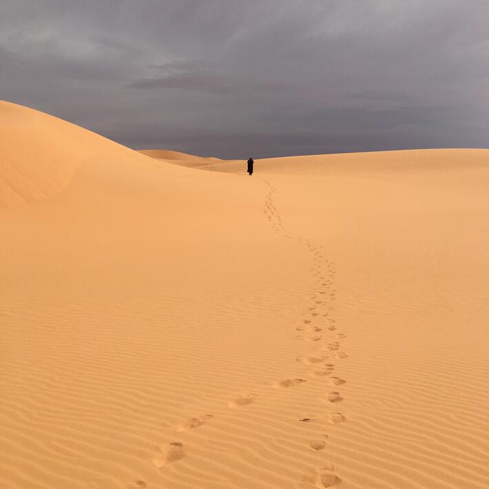 Sahara algérien