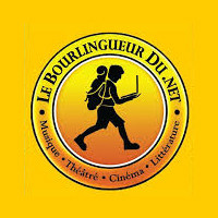 Logo Le Bourlingueur du Net