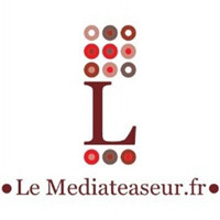 Logo Mediateaser