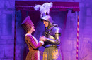 Chevaliers