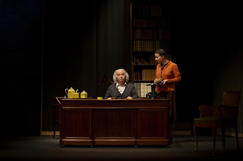 Le Cas Eduard Einstein au Théâtre de la Comédie des Champs-Elysées