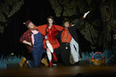 La folle histoire du petit chaperon rouge