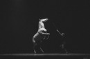 Alex LUTZ au Théâtre des Folies Bergère