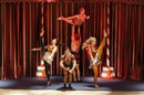 PINOCCHIO au Théâtre des Variétés