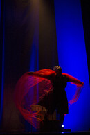 Allons Enfants au Théâtre Le Capitole
