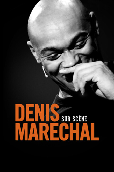 DENIS MARÉCHAL sur scène au Théâtre à l'Ouest Auray