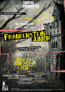 Frankenstein Junior, Théâtre des Variétés