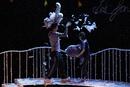 Courgette au Théâtre du Girasole