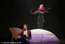 Le petit prince