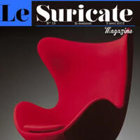 Le Suricate Magazine