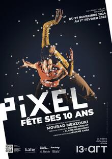 Pixel, Théâtre le 13ème Art