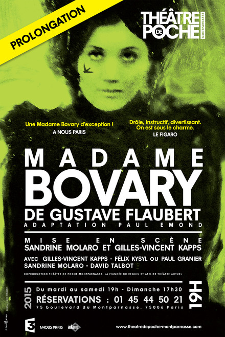 MADAME BOVARY au Théâtre de Poche-Montparnasse