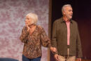 Chers Parents au Théâtre de la Michodière