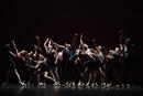THE DANCER[S] au Théâtre le 13ème Art