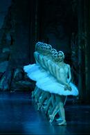 Le Lac des Cygnes au Théâtre le 13ème Art
