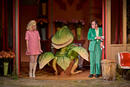 La petite boutique des horreurs au Théâtre de la Porte Saint-Martin