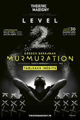Murmuration - Level 2
