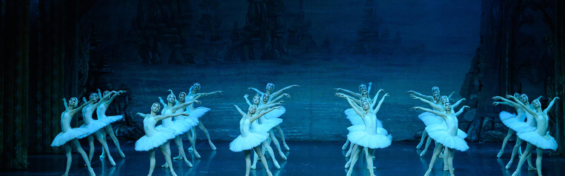Le Lac des Cygnes