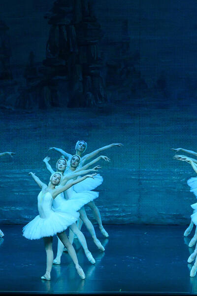 Le Lac des Cygnes