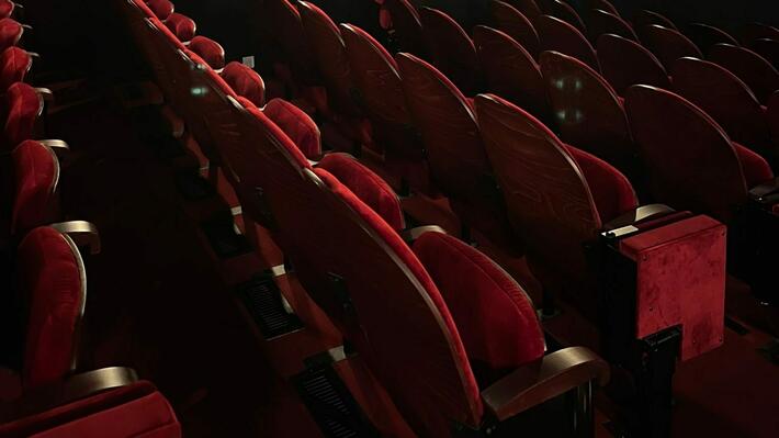 11,3 millions de français de 15 à 80 ans aiment le théâtre et sont allés voir une comédie, une pièce contemporaine, un classique, un seul en scène...