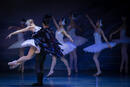 Le lac des cygnes au Théâtre du Gymnase Marie Bell