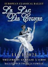 Le lac des cygnes