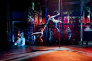 ID - EVOLUTION - Cirque Éloize au Théâtre Montparnasse