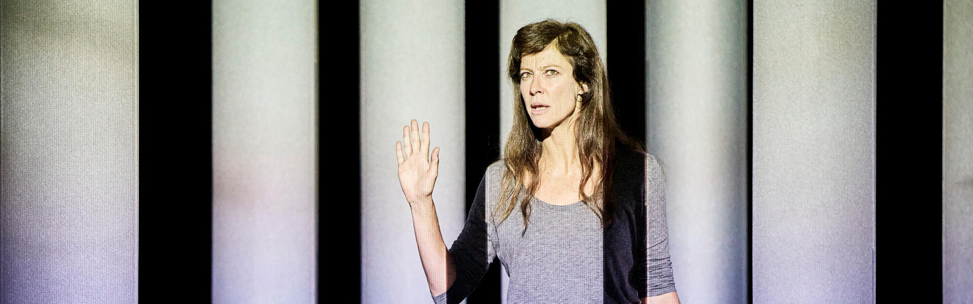 La chair est triste hélas