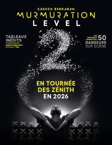 Murmuration - Level 2