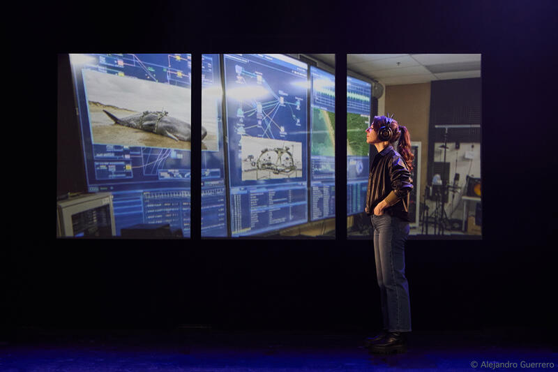 La Zone Indigo au Théâtre des Béliers Parisiens
