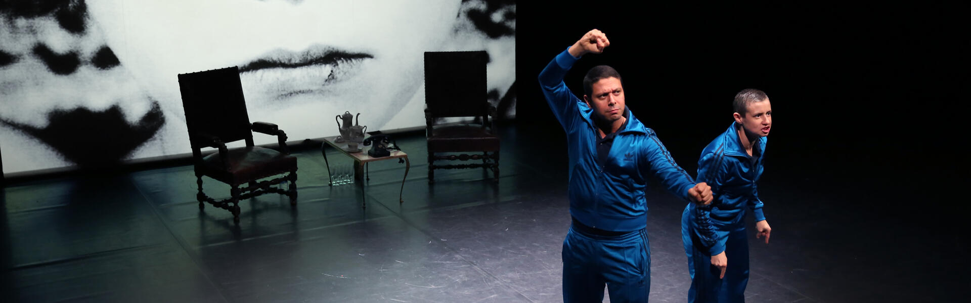 Les deux frères et les lions