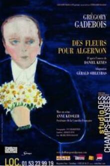 Des fleurs pour Algernon, théâtre Studio des Champs-Elysées