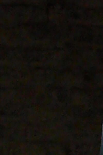 Jean Zay, L’homme complet