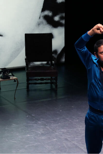 Les deux frères et les lions