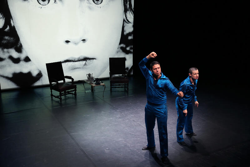 Hédi TILLETTE de CLERMONT-TONERRE dans Les deux frères et les lions