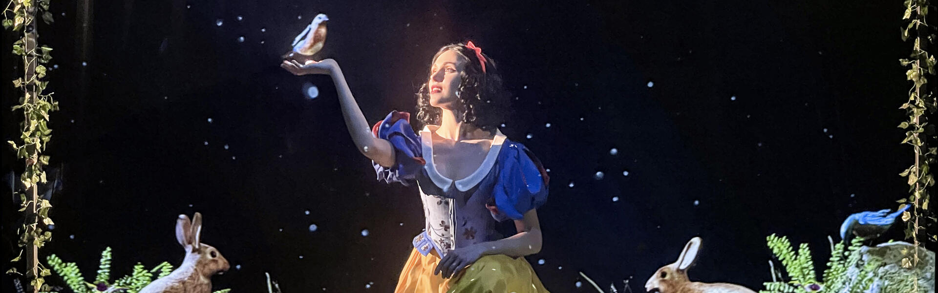 Blanche Neige et les 7 nains