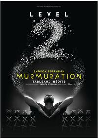 Murmuration - Level 2