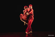 ZWAJ (mariage) au Théâtre de La Gaîté Rive Gauche