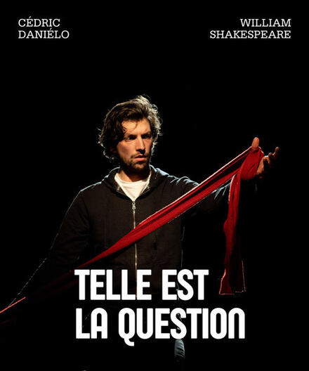Telle est la question au Théâtre Comédie Odéon