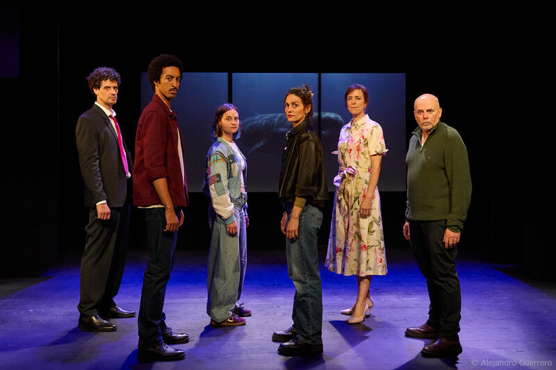 La Zone Indigo au Théâtre des Béliers Parisiens