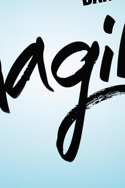 Les VICE VERSA dans Imagine