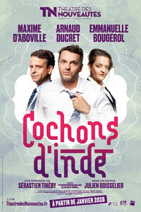 Cochons d'Inde