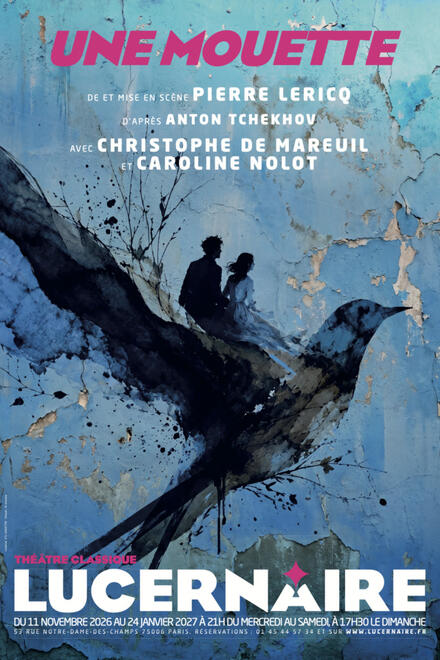 Une mouette au Théâtre Lucernaire